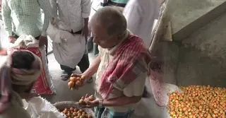 কাউরিয়ার সুপারির বিশ্বখ্যাতি, প্রতি হাটে বেচাকেনা ৩ থেকে ৪ কোটি টাকা